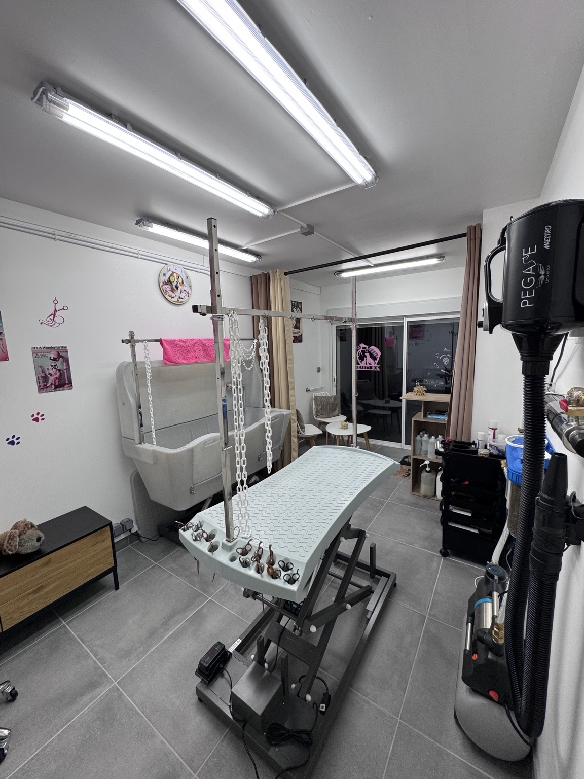 L’intérieur du salon, sa baignoire et sa table de toilettage